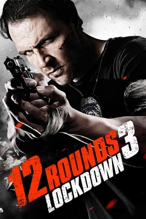 12 Rounds 3- Lockdown ฝ่าวิกฤติ 12 รอบ 3 -ล็อคดาวน์ (2015)