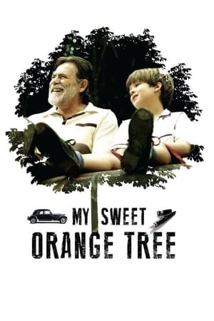 My Sweet Orange Tree (Meu Pé de Laranja Lima) ต้นส้มแสนรัก (2012)